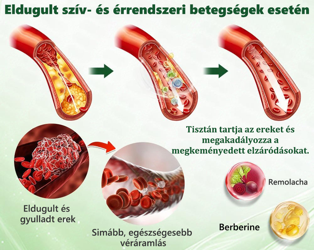 Hivatalos márkabolt | PZGONE® Moringa + Berberin × NAD+ 10 az 1-ben nano-mikrotűs tapasz | Napi egyszeri használat | Testsúlykezelés, bőrfeszesség, energiaszint és általános jóllét támogatására