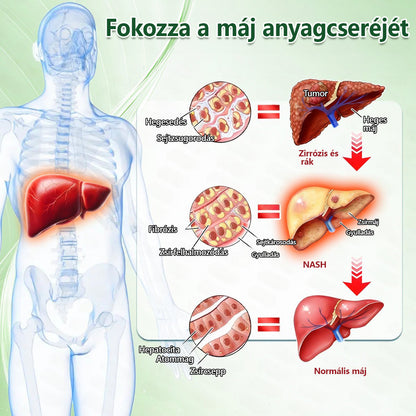 Hivatalos márkabolt | PZGONE® Moringa + Berberin × NAD+ 10 az 1-ben nano-mikrotűs tapasz | Napi egyszeri használat | Testsúlykezelés, bőrfeszesség, energiaszint és általános jóllét támogatására