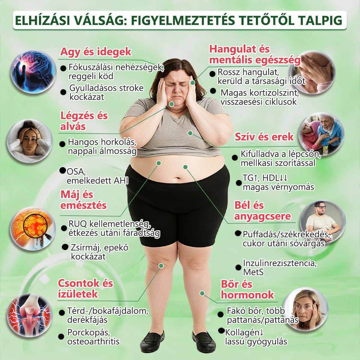 Hivatalos márkabolt | PZGONE® Moringa + Berberin × NAD+ 10 az 1-ben nano-mikrotűs tapasz | Napi egyszeri használat | Testsúlykezelés, bőrfeszesség, energiaszint és általános jóllét támogatására