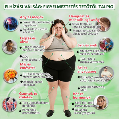Hivatalos márkabolt | PZGONE® Moringa + Berberin × NAD+ 10 az 1-ben nano-mikrotűs tapasz | Napi egyszeri használat | Testsúlykezelés, bőrfeszesség, energiaszint és általános jóllét támogatására