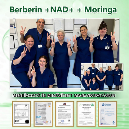 Hivatalos márkabolt | PZGONE® Moringa + Berberin × NAD+ 10 az 1-ben nano-mikrotűs tapasz | Napi egyszeri használat | Testsúlykezelés, bőrfeszesség, energiaszint és általános jóllét támogatására