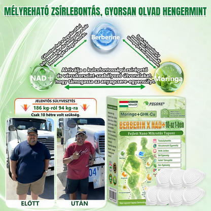 Hivatalos márkabolt | PZGONE® Moringa + Berberin × NAD+ 10 az 1-ben nano-mikrotűs tapasz | Napi egyszeri használat | Testsúlykezelés, bőrfeszesség, energiaszint és általános jóllét támogatására