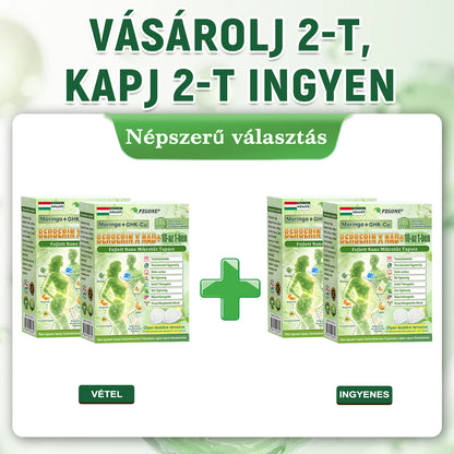 Hivatalos márkabolt | PZGONE® Moringa + Berberin × NAD+ 10 az 1-ben nano-mikrotűs tapasz | Napi egyszeri használat | Testsúlykezelés, bőrfeszesség, energiaszint és általános jóllét támogatására