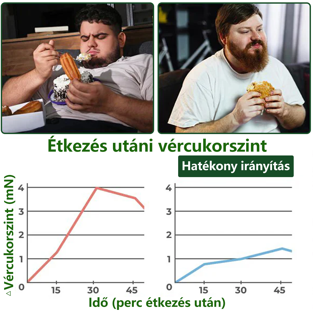 Hivatalos márkabolt | PZGONE® Moringa + Berberin × NAD+ 10 az 1-ben nano-mikrotűs tapasz | Napi egyszeri használat | Testsúlykezelés, bőrfeszesség, energiaszint és általános jóllét támogatására