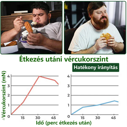 Hivatalos márkabolt | PZGONE® Moringa + Berberin × NAD+ 10 az 1-ben nano-mikrotűs tapasz | Napi egyszeri használat | Testsúlykezelés, bőrfeszesség, energiaszint és általános jóllét támogatására