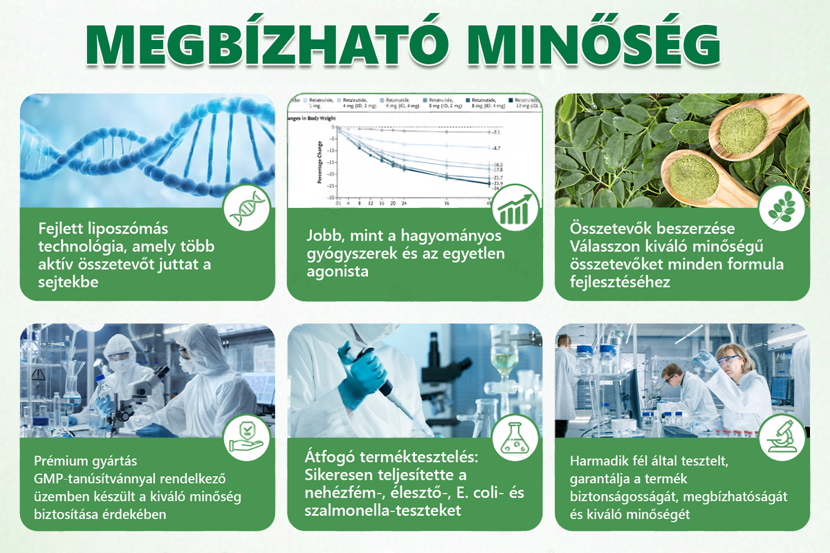 Hivatalos márkabolt | PZGONE® Moringa + Berberin × NAD+ 10 az 1-ben nano-mikrotűs tapasz | Napi egyszeri használat | Testsúlykezelés, bőrfeszesség, energiaszint és általános jóllét támogatására