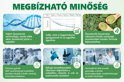 Hivatalos márkabolt | PZGONE® Moringa + Berberin × NAD+ 10 az 1-ben nano-mikrotűs tapasz | Napi egyszeri használat | Testsúlykezelés, bőrfeszesség, energiaszint és általános jóllét támogatására