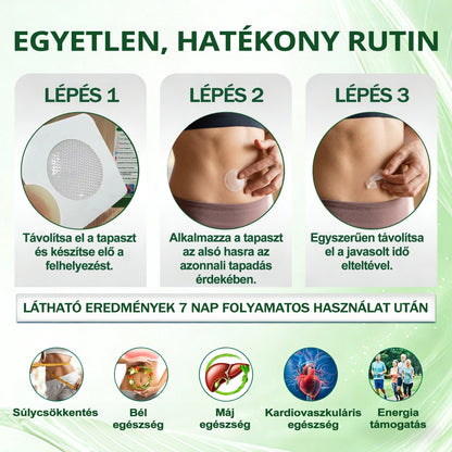 Hivatalos márkabolt | PZGONE® Moringa + Berberin × NAD+ 10 az 1-ben nano-mikrotűs tapasz | Napi egyszeri használat | Testsúlykezelés, bőrfeszesség, energiaszint és általános jóllét támogatására