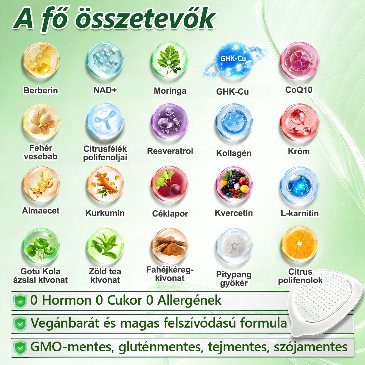 Hivatalos márkabolt | PZGONE® Moringa + Berberin × NAD+ 10 az 1-ben nano-mikrotűs tapasz | Napi egyszeri használat | Testsúlykezelés, bőrfeszesség, energiaszint és általános jóllét támogatására